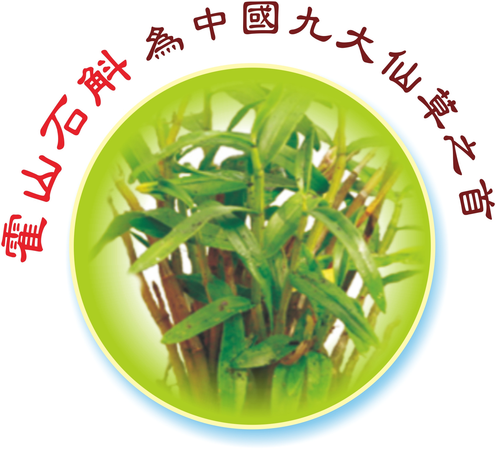 霍山石斛草本圖片